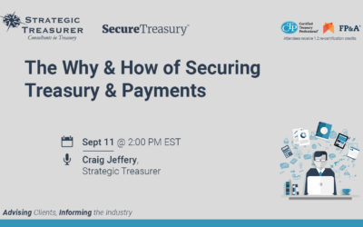 The Why & How of Securing Treasury & Payments